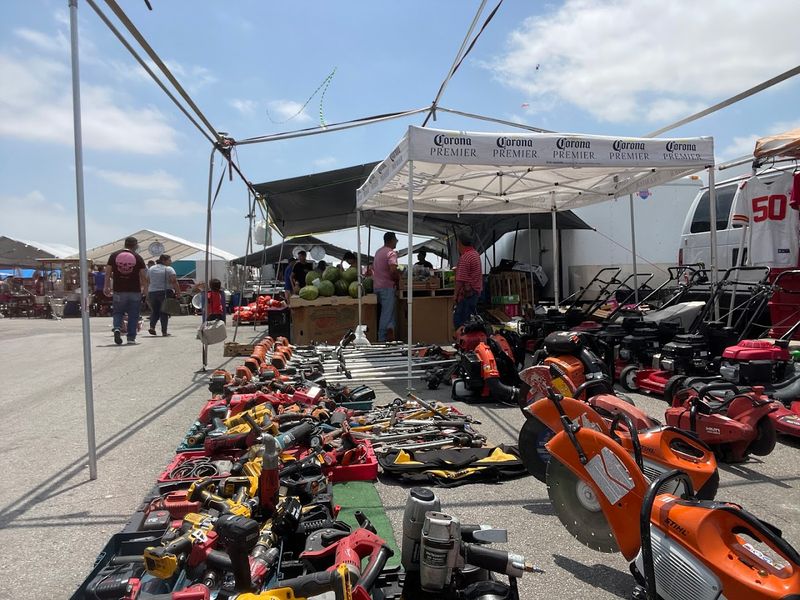 Plants, Tools, and Outdoor Goods for the Backyard Enthusiast