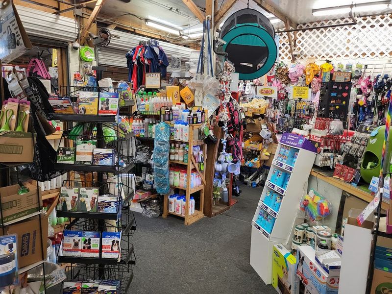 Tools and Hardware at Low Prices