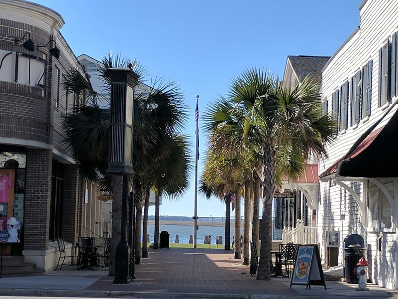 Job Opportunities and Remote Work Potential