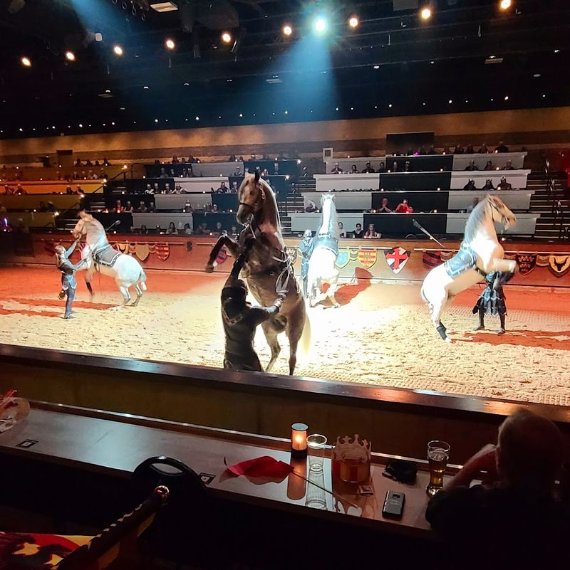 Stunning Horses That Steal Every Scene