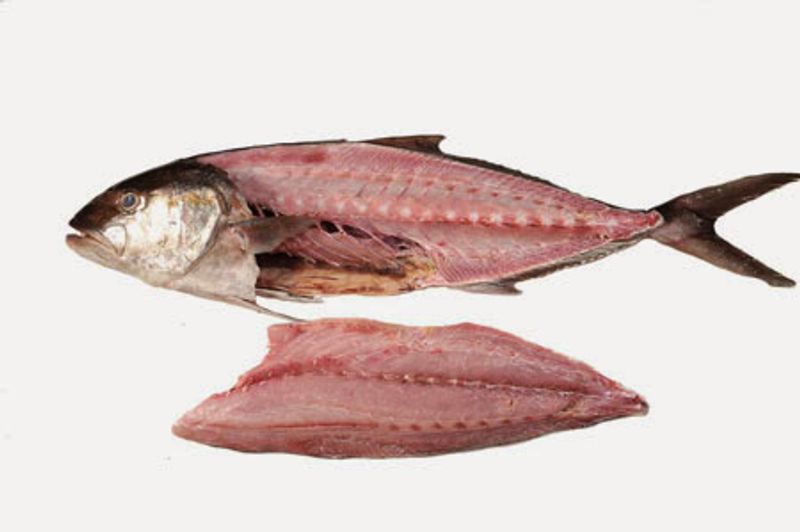 Off The Dock Seafood - Memphis, Tennessee