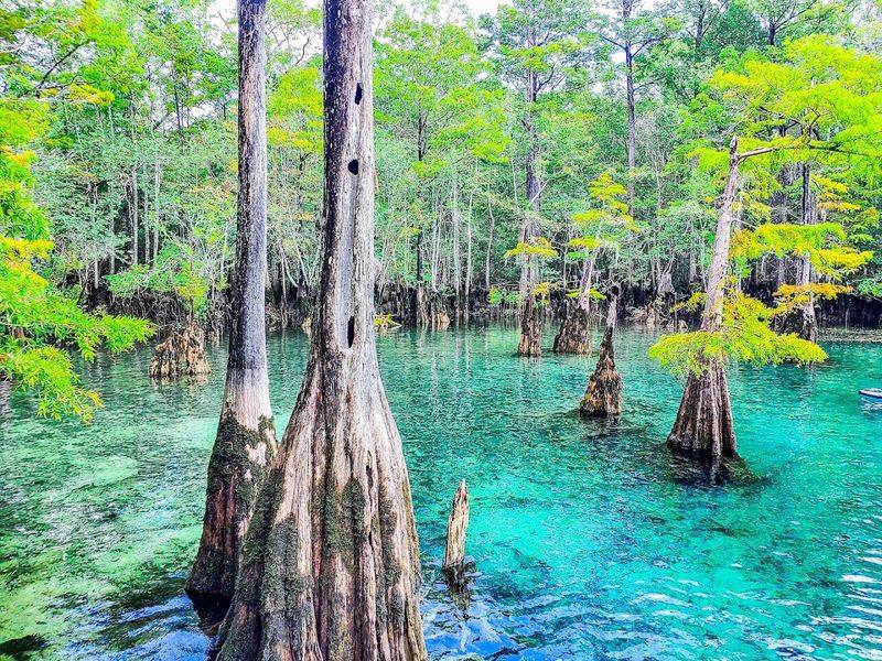 The Best Time to Visit for That Fairytale Water Clarity