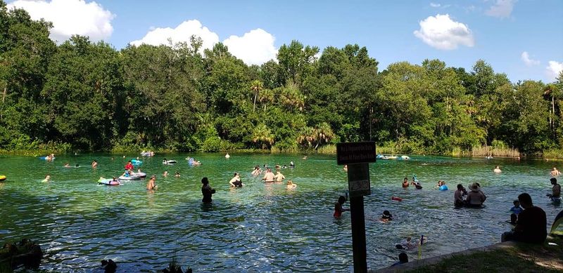 Florida’s Clearest Springs That Feel Quietly Unreal in Person 12 Alexander Springs - Florida