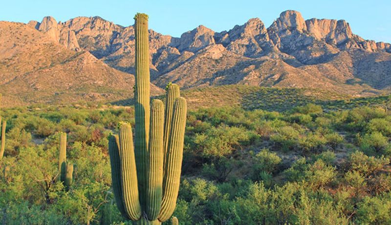 Catalina State Park - Tucson, Arizona