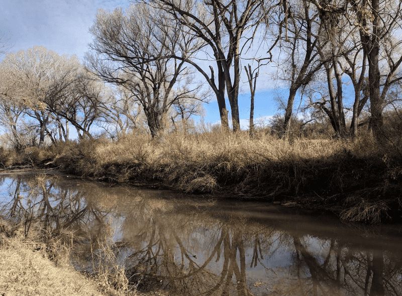 San Pedro River Trail for Outdoor Enthusiasts