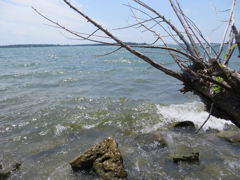 Kayaking Around the Island Shoreline