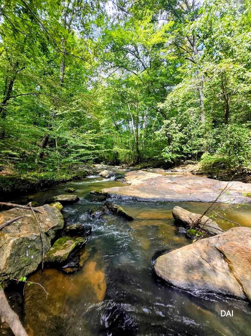 Wildlife Watching That Will Genuinely Surprise You