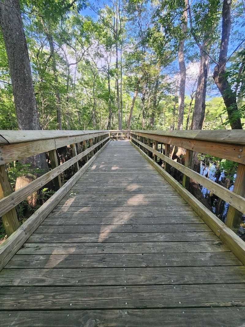 The Boardwalk That Makes You Feel Like You Are in a Movie