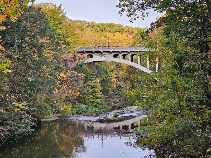 Wildlife Watching Throughout the Park