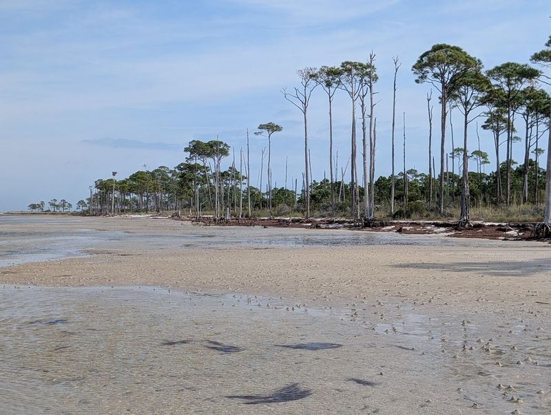 Stunning Stargazing Under Truly Dark Skies