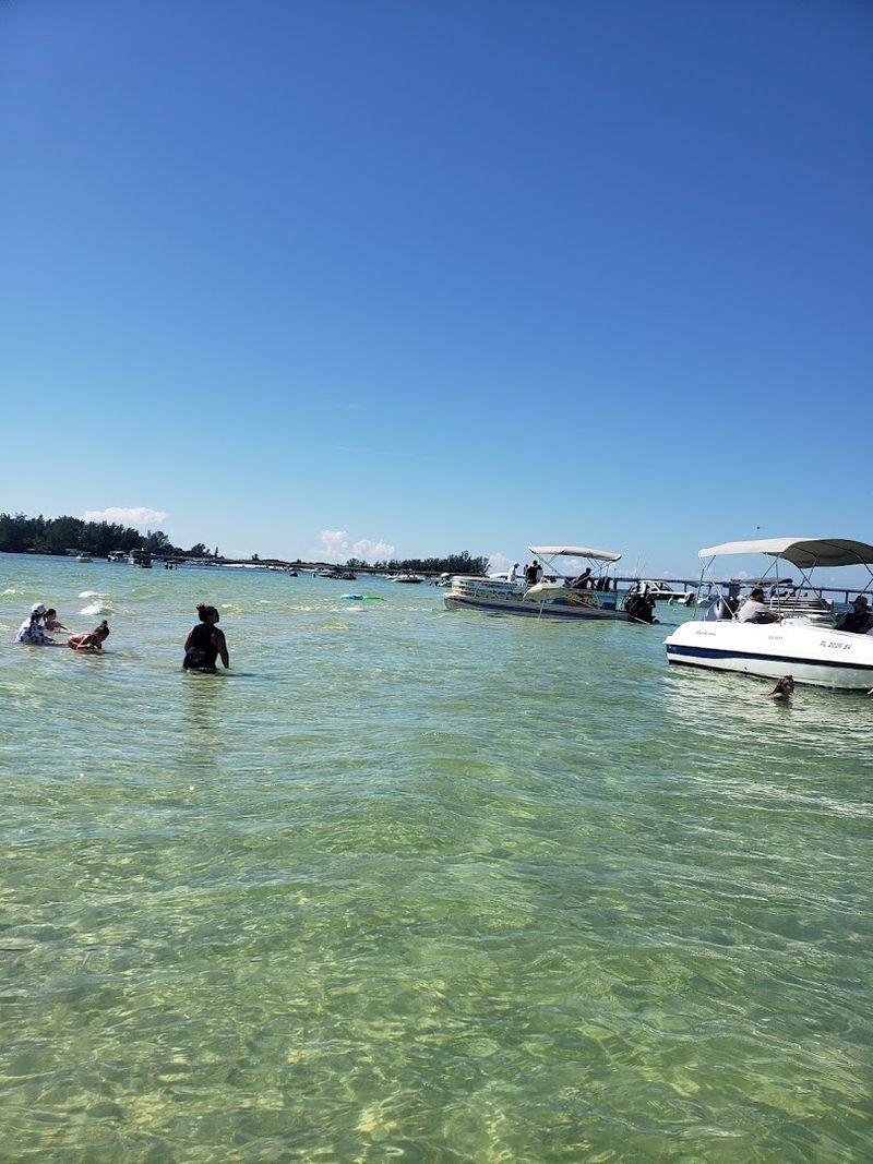 Dolphin Watching Tours That Will Wow Every Kid