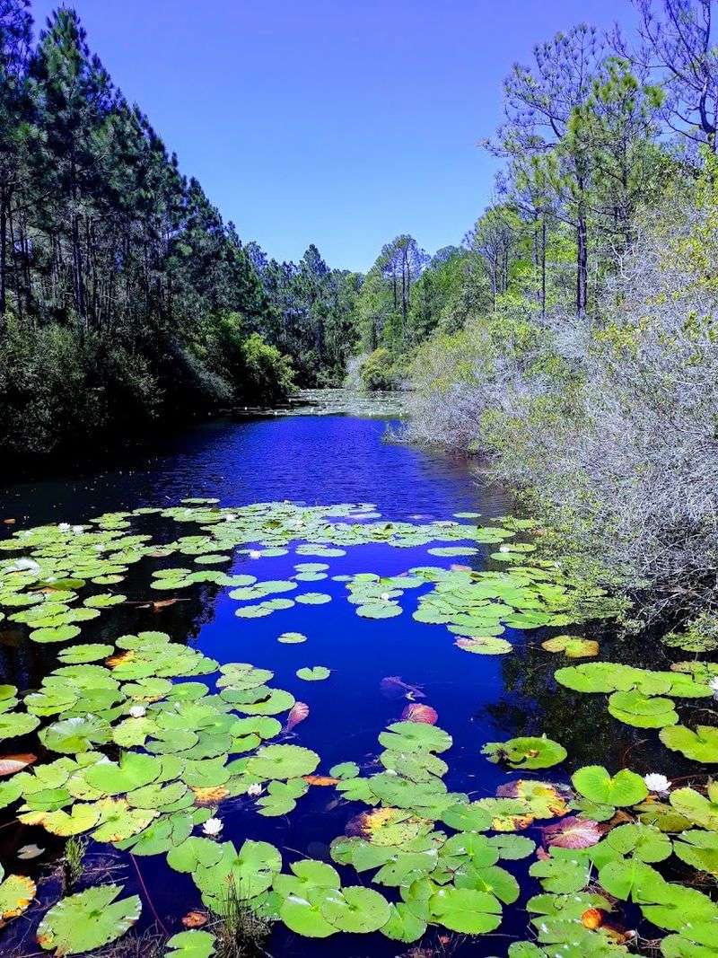 Kayaking and Paddleboarding on the Gulf and Dune Lakes