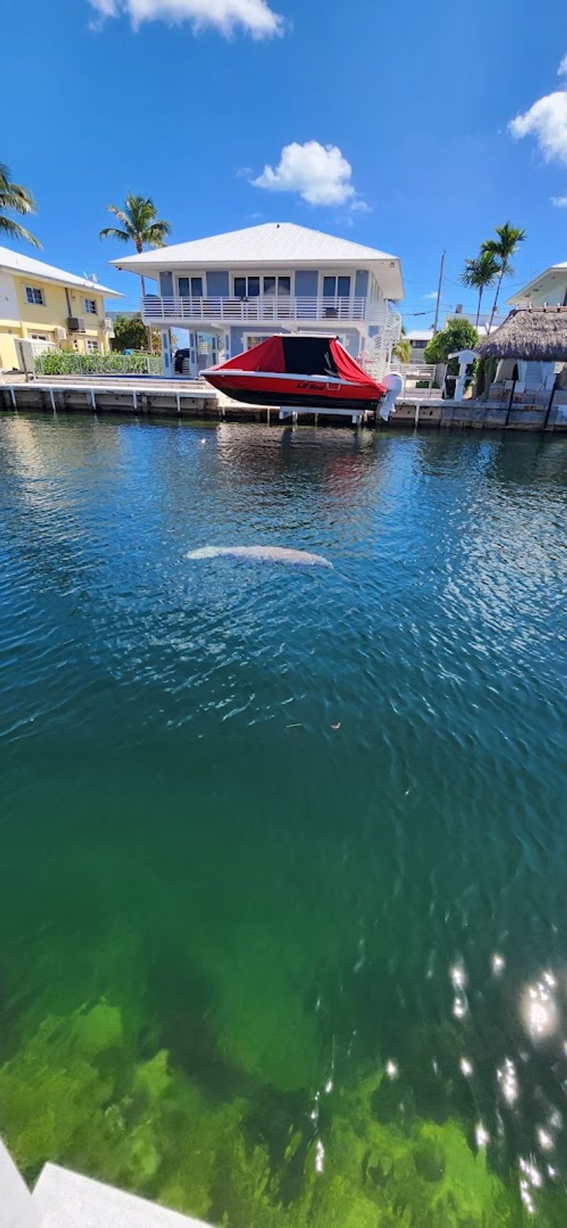 Islamorada - Florida