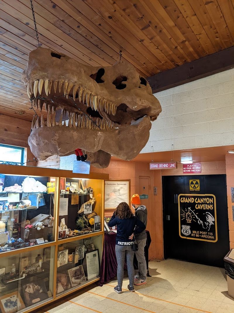 Elevator Access: Getting Down to the Caverns with Ease