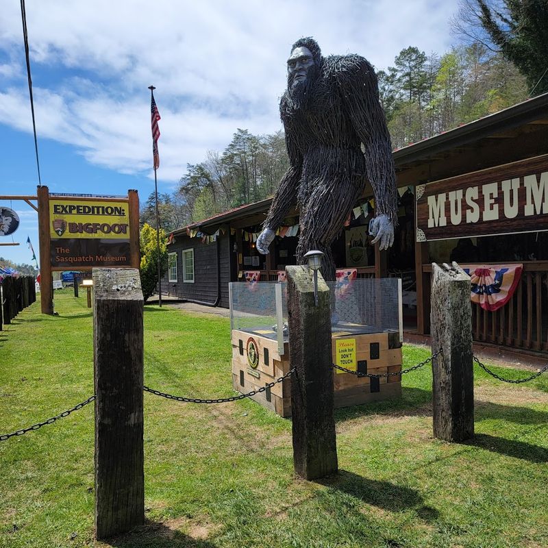 Kid-Friendly and Accessible for All Ages