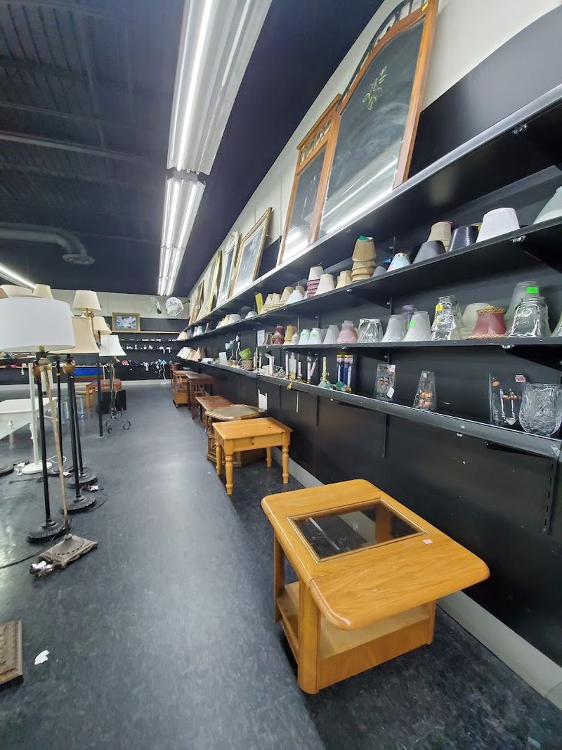 Kitchen and Household Items Fill the Shelves