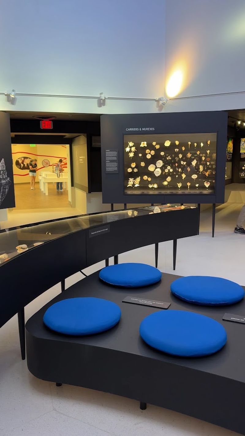 The Museum Film: A Short Video That Hits Harder Than Expected