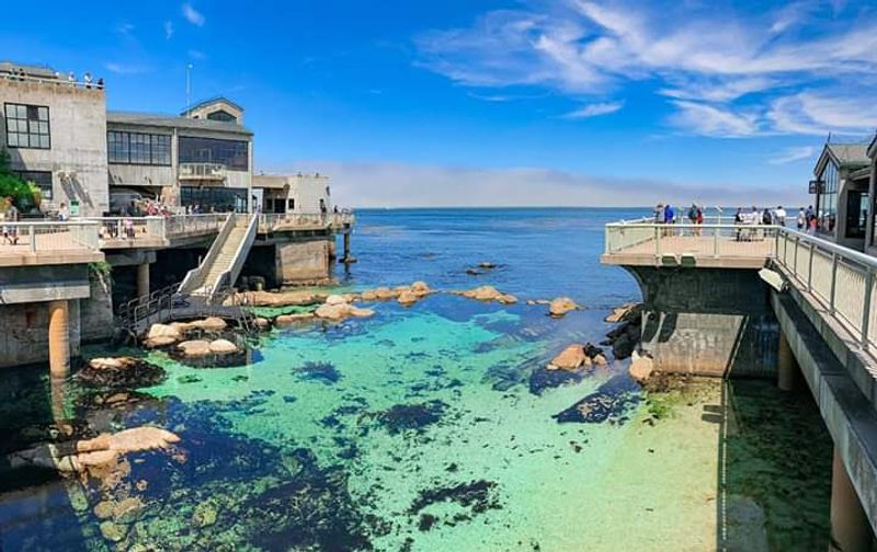 Monterey Bay Aquarium - Monterey, California