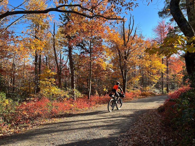 Carriage Roads: Easy Miles with Big Rewards