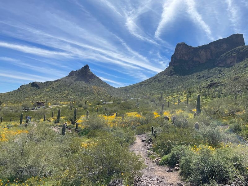 Picacho Peak State Park - Picacho, Arizona