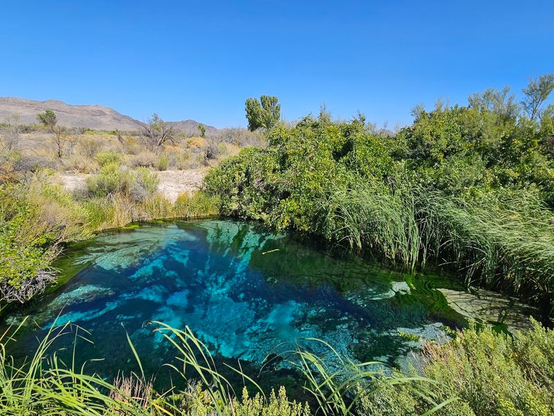 Ash Meadows National Wildlife Refuge - Amargosa Valley, Nevada