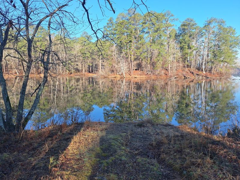 Camping With Real Privacy and Room to Breathe