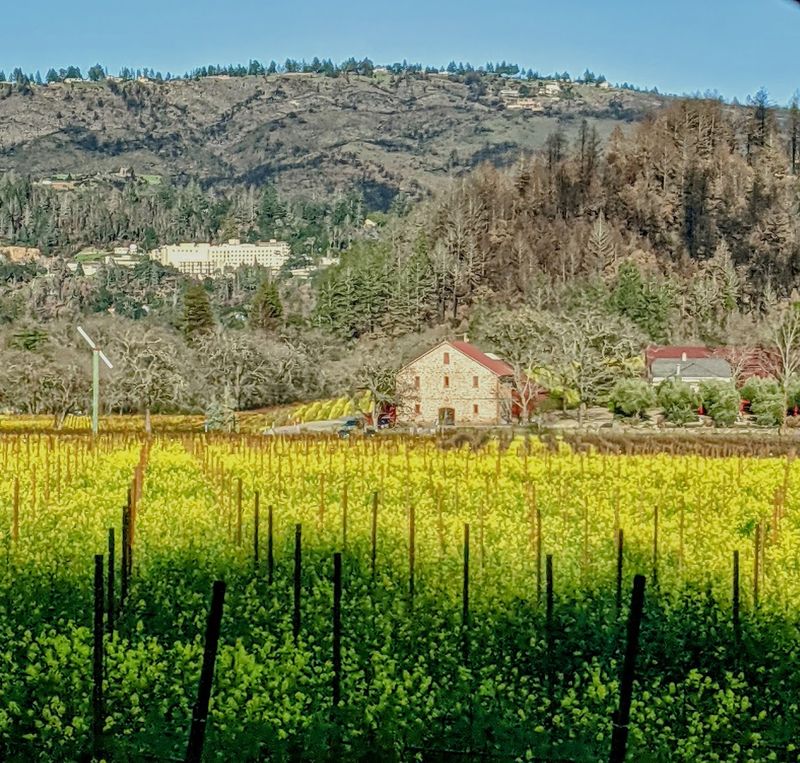 Napa County - California
