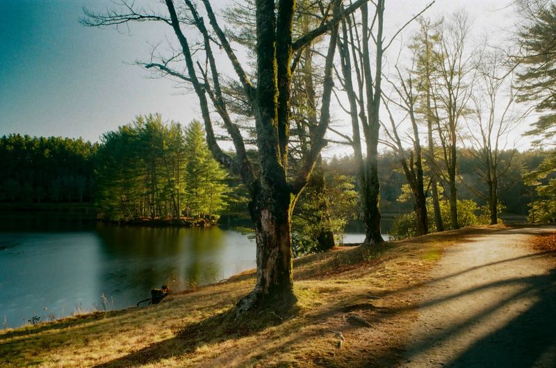 A Peaceful Escape Minutes From Downtown Blowing Rock