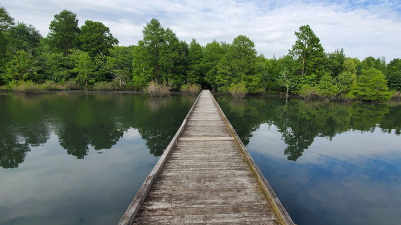 Pettigrew State Park - Creswell, North Carolina