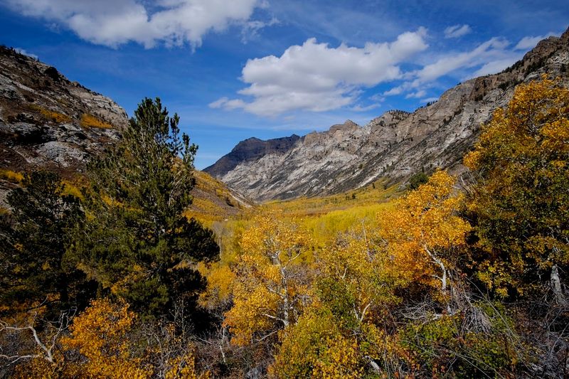 Lamoille Canyon Scenic Byway - Spring Creek, Nevada