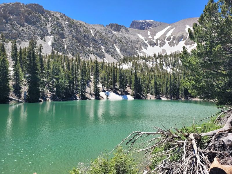 14 Scenic Day Trips In Nevada Ideal For A Relaxing Weekend Drive 8 Great Basin National Park - Nevada