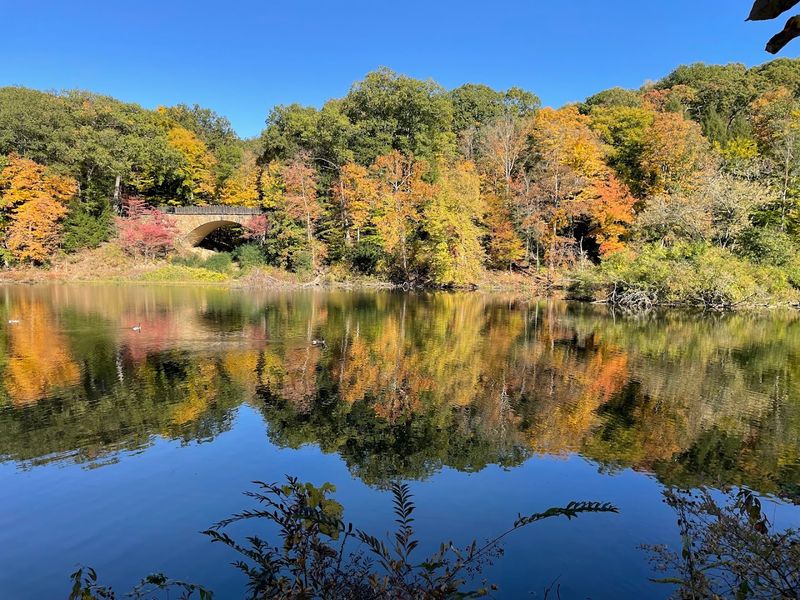 Autumn Foliage Season