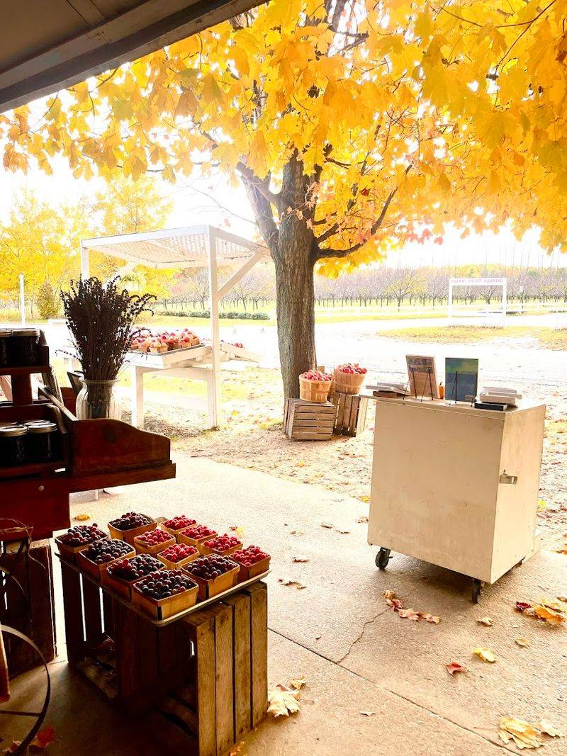 A Destination for Every Season