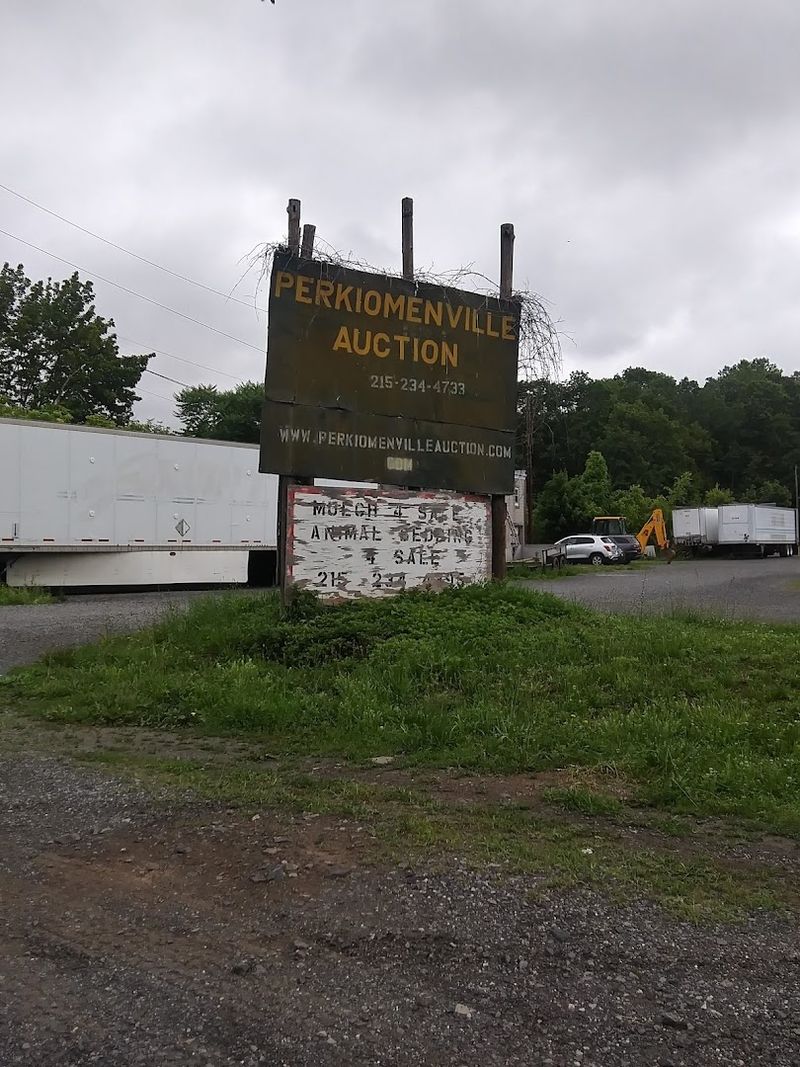 Perkiomenville Auction and Flea Market - Perkiomenville, Pennsylvania