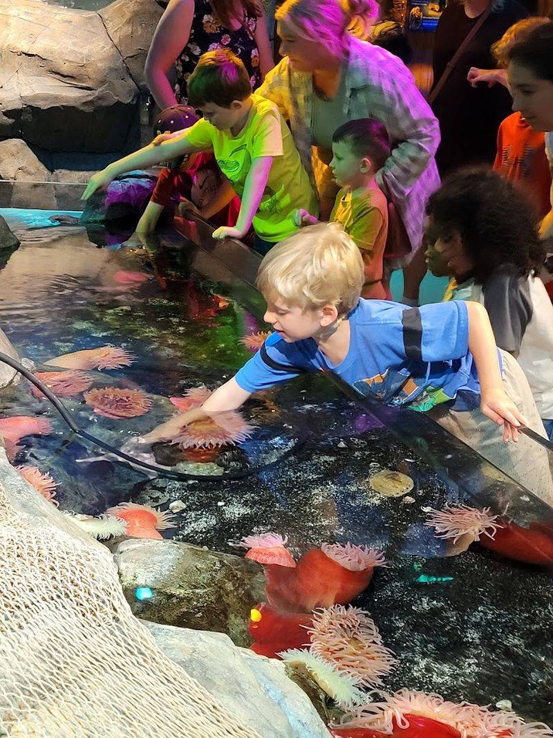 Add Learning to the Fun