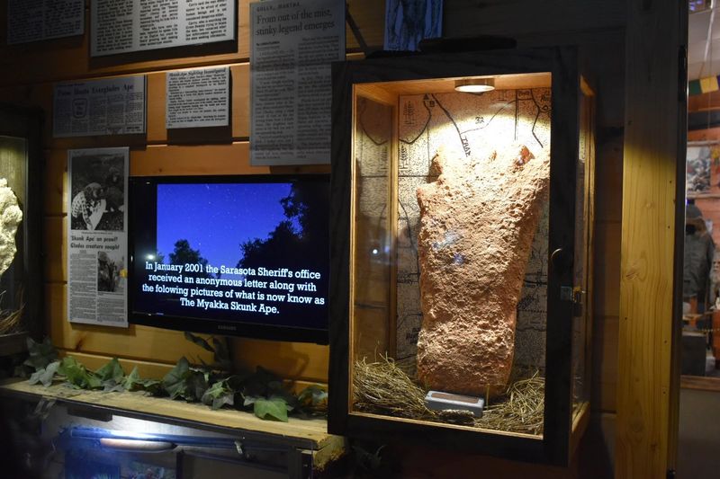 Footprint Casts and That Famous 36-Inch Bigfoot Poop
