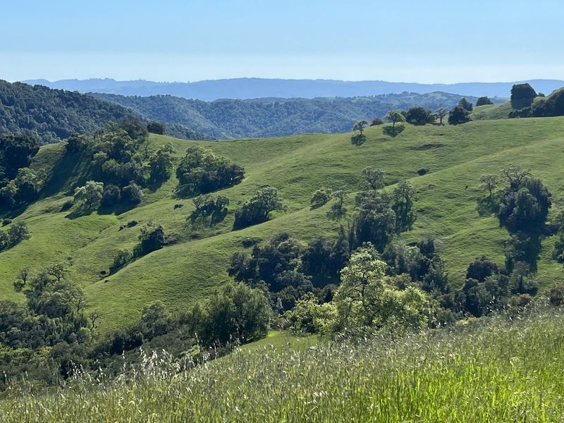Henry W. Coe State Park - Morgan Hill, California