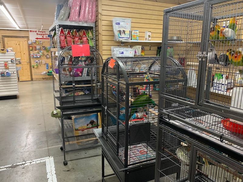 Live Animals and a Pet Section That Draws Curious Crowds