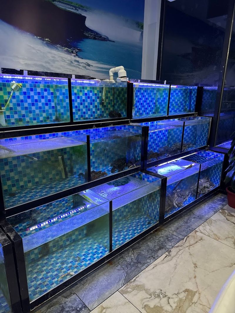 Live Lobster Tank — A Feature You Don't Expect