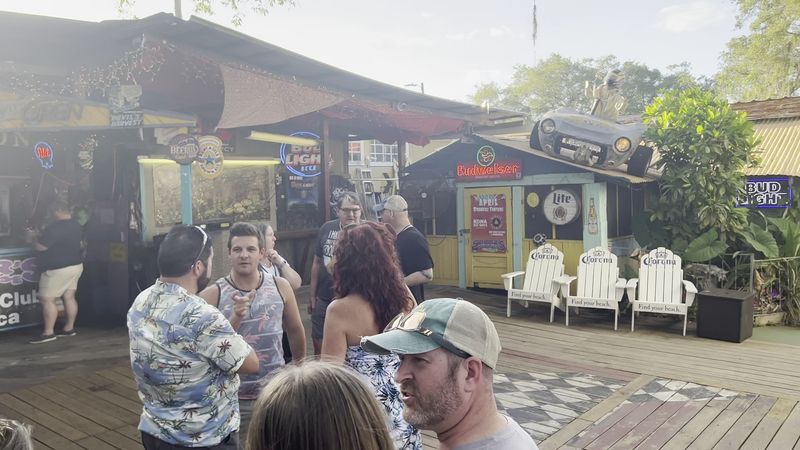 People Drive For Hours To Try The Key Lime Pies At This Simple Florida Restaurant 7 The Friendly Cats That Roam the Property