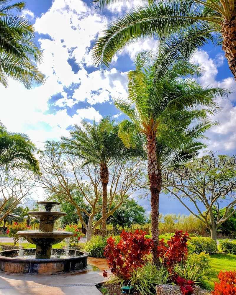 Gorgeous Grounds Perfect for Photos and Special Events