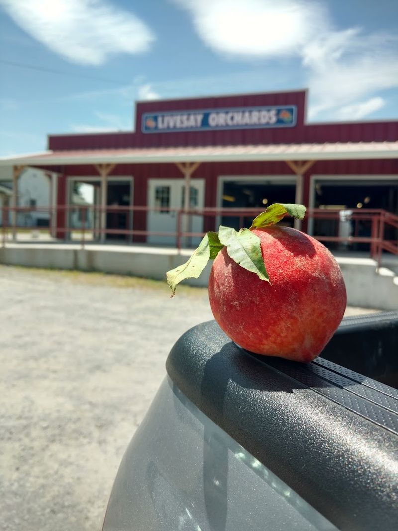 Livesay Orchards - Porter, Oklahoma