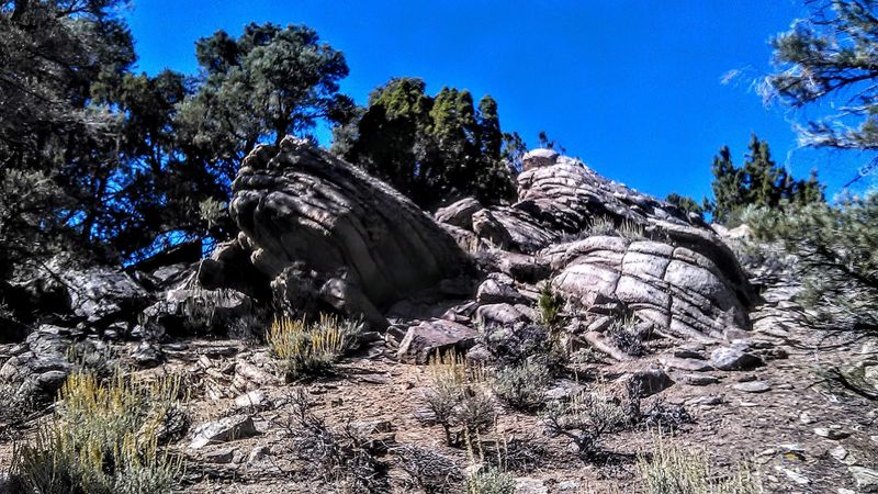 Big Creek and Canyon Exploration Near Austin