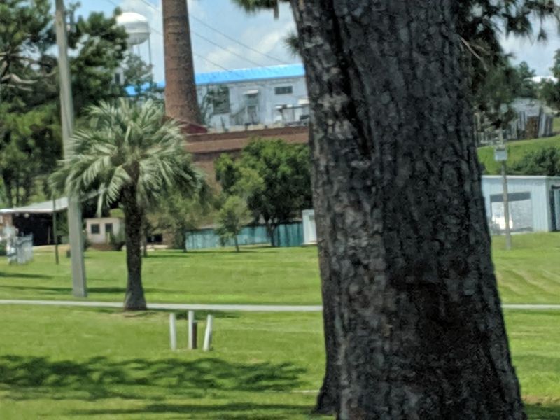Scenic Life Along the Apalachicola River