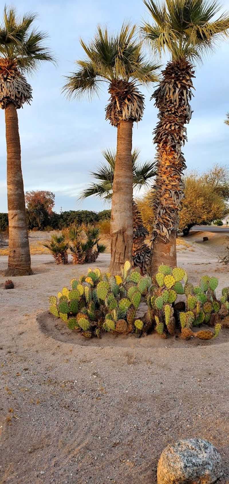 Yuma Territorial Prison State Historic Park