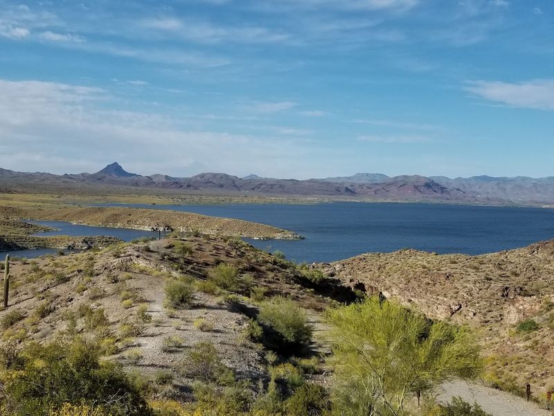 Alamo Lake State Park - Wenden, Arizona