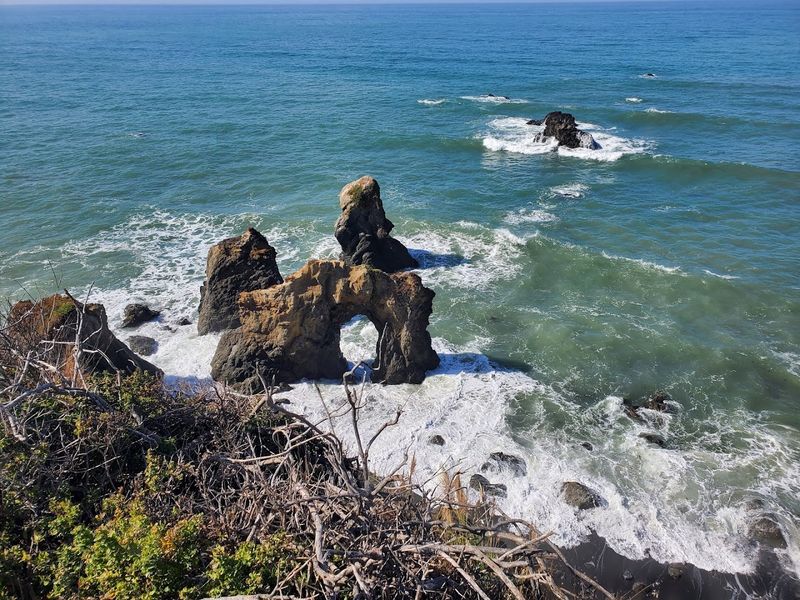 California Dog Beaches That Make Every Trip Better With Your Pup 22 Westport-Union Landing State Beach - Westport, California