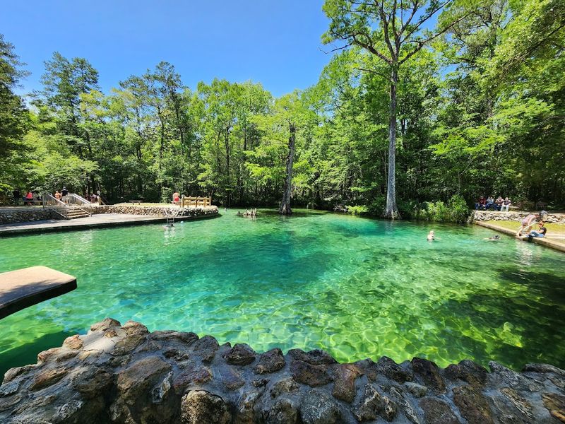 Florida’s Clearest Springs That Feel Quietly Unreal in Person 16 Ponce de Leon Springs State Park - Ponce De Leon, Florida