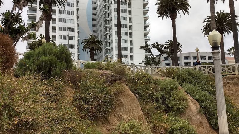 Santa Monica - California