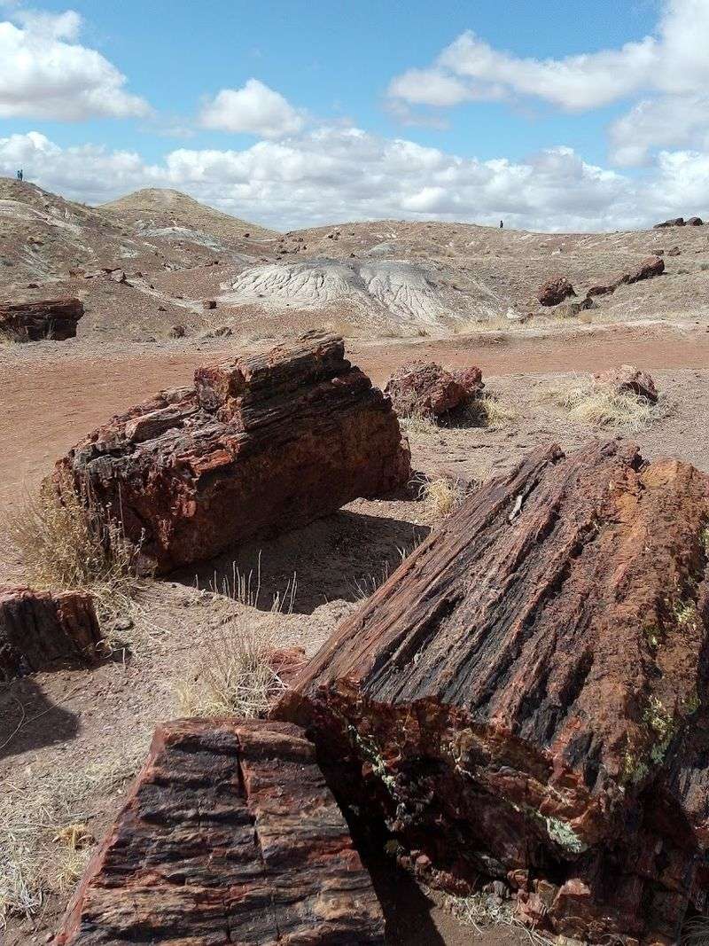 Petrified Forest National Park - Arizona
